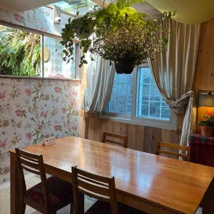 식물원K 대표 사진