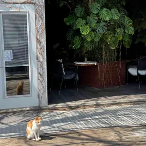 식물원K 대표 사진