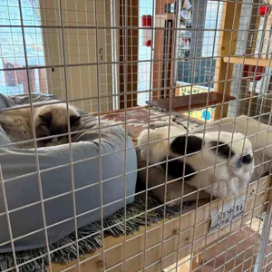 소풍 대표 사진