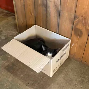 소풍 대표 사진