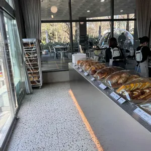 시시 대표 사진