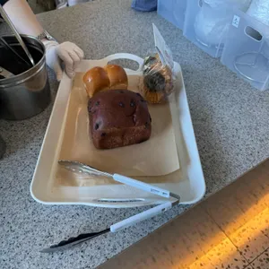 시시 대표 사진