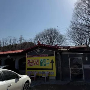 황금오리 리뷰 사진