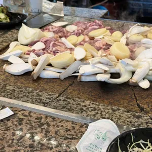 황금오리 사진 1