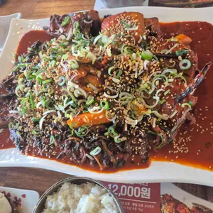 코다리각시 사진 1