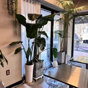 돌모루 대표 사진