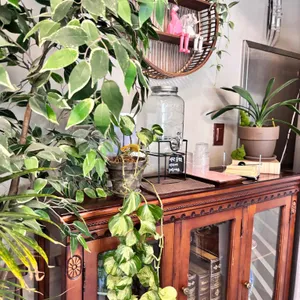 돌모루 대표 사진