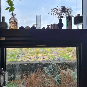 라녹 대표 사진