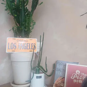 타코닷 대표 사진