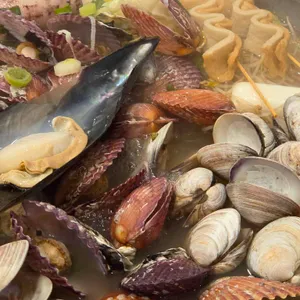 갯벌의조개 사진