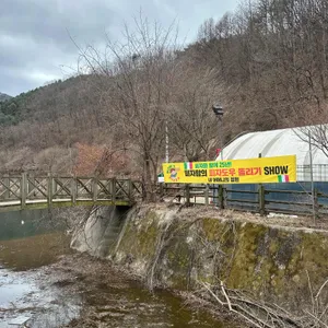 도토리골 카페 리뷰 사진