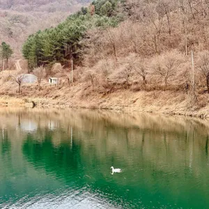 도토리골 카페 대표 사진