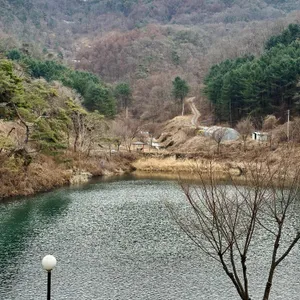 도토리골 카페 리뷰 사진