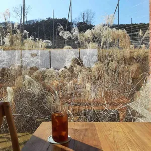 아그리르 사진 2