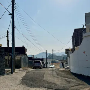 악토버깅코 리뷰 사진