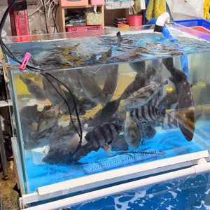 삼천포 용궁수산시장 목섬회센터 사진 2