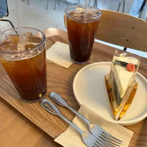 호랑가시 대표 사진