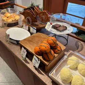 호랑가시 대표 사진