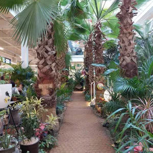 하패리 61 대표 사진