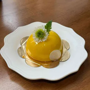 레스베러 대표 사진