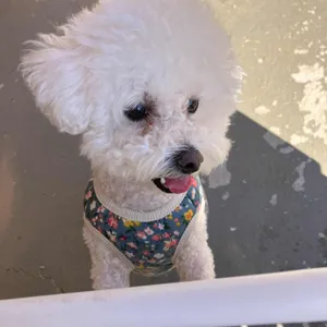 카페댕 대표 사진