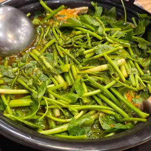 등촌샤브칼국수 사진 1