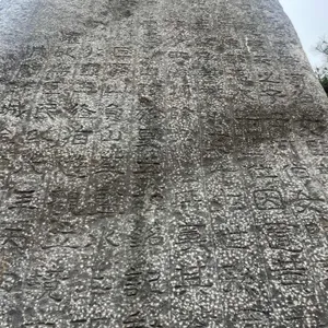 너른마당 리뷰 사진