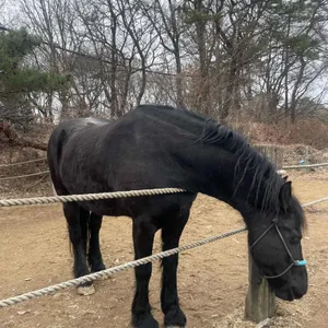 너른마당 리뷰 사진