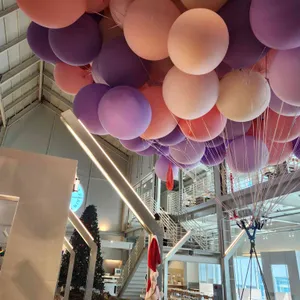 마고플레인 대표 사진