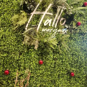 마고플레인 대표 사진