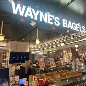 웨인스베이글스 대표 사진