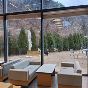 발레나식스 대표 사진