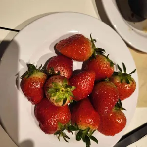 애슐리퀸즈 사진