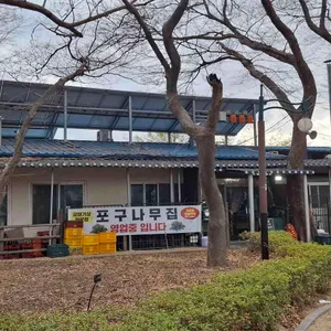 포구나무집 리뷰 사진