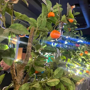 제줏간 대표 사진