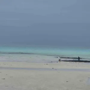 호텔샌드 리뷰 사진