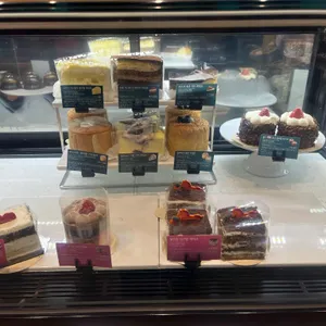 스타벅스 리뷰 사진