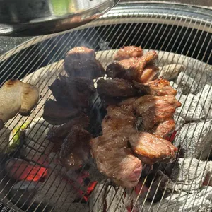 부산갈매기 대표 사진