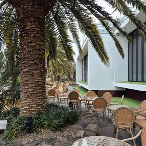 원앤온리 대표 사진