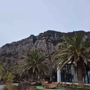 원앤온리 대표 사진