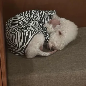 거리,숲 대표 사진