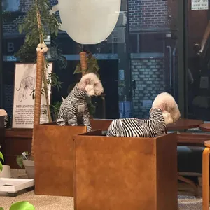 거리,숲 리뷰 사진