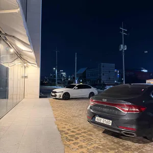 슬라이폭스 리뷰 사진