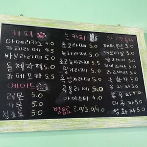 고양이카페 행궁묘연 리뷰 사진