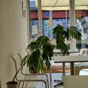 걸걸 대표 사진