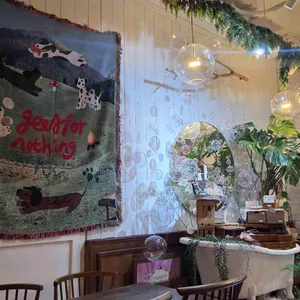 버블룸 리뷰 사진