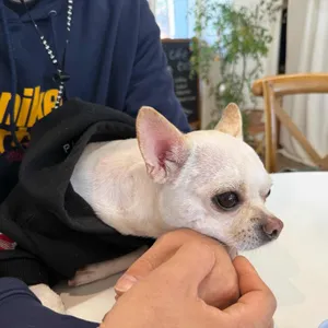 카페 올로크 대표 사진