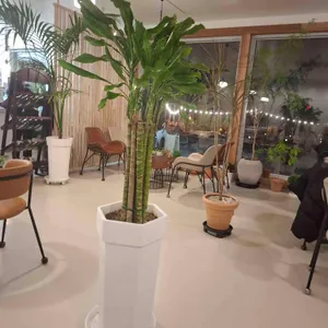 우디 대표 사진