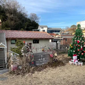 미각 대표 사진