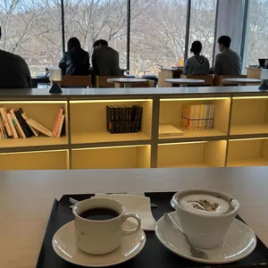 어노렌지 대표 사진